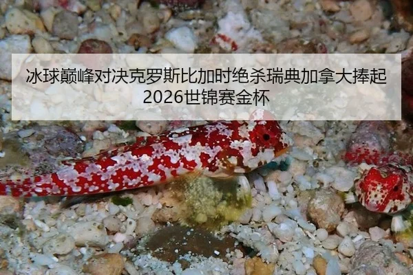 bing-qiu-dian-feng-dui-jue-ke-luo-si-bi-jia-shi-jue-sha-rui-dian-jia-na-da-peng-qi-shi-jin-sai-jin-bei-2-722.jpg